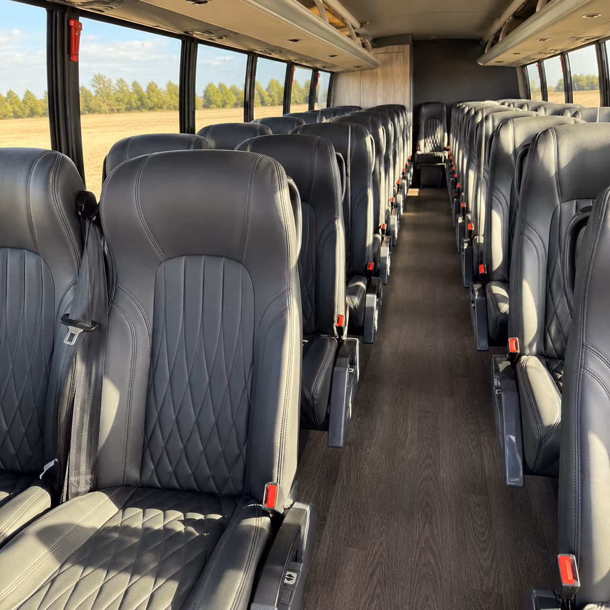 minibuses for smaller concert groups heading out from sunrise